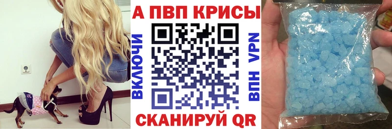 мориарти телеграм  Южно-Сухокумск  А ПВП СК  цены  